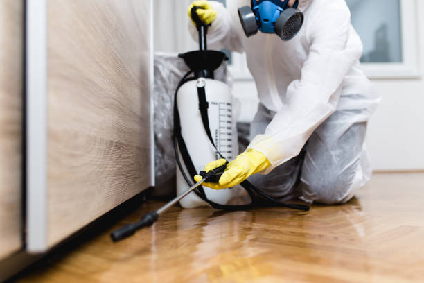 Best Pest Control for Homes  in Stanton, MI