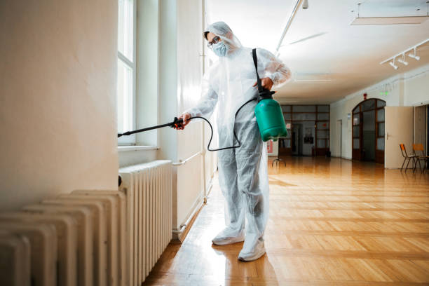 Best Rat Extermination Near Me  in Stanton, MI
