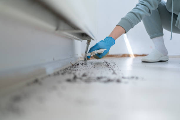 Best Bed Bug Extermination  in Stanton, MI